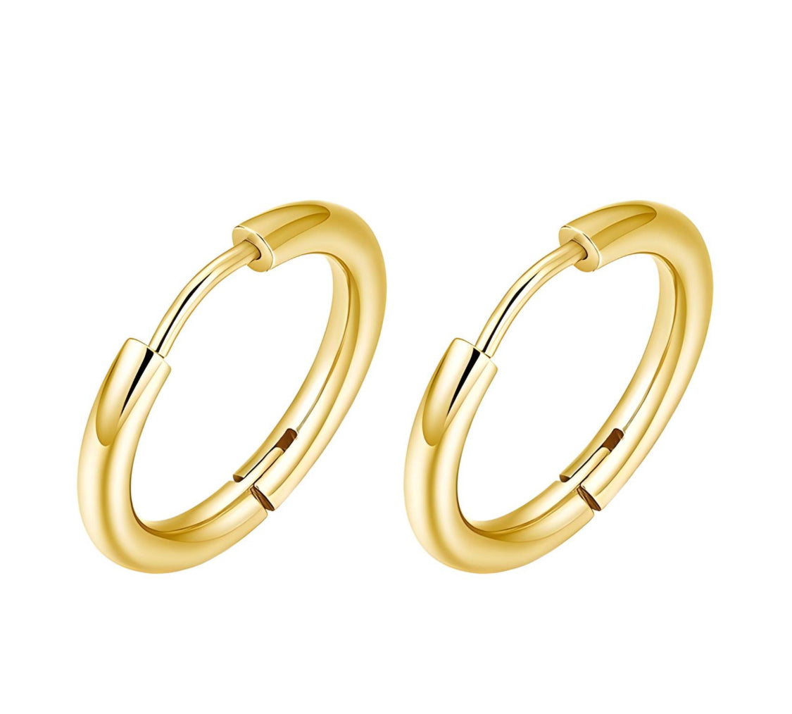 Gold Classic Earrings Hoops