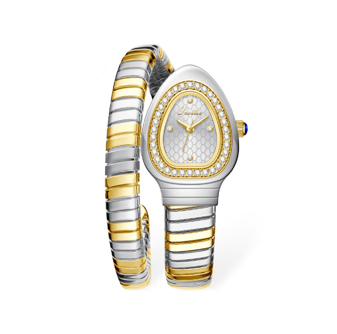 Eden women’s watch snake